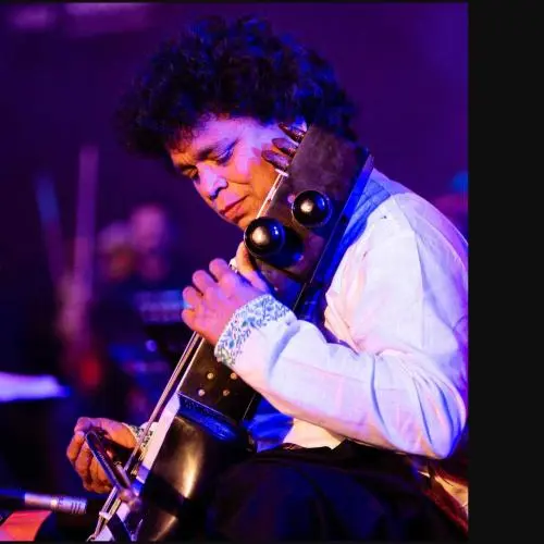 Indian classical musician Farooque Latif Khan performing on the sarod during a live concert.