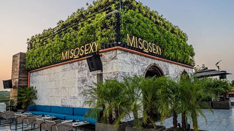 Diablo-Misosexy-Chandigarh